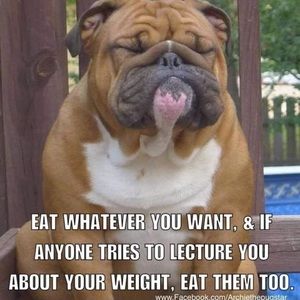 Meet your Posher, Leonel